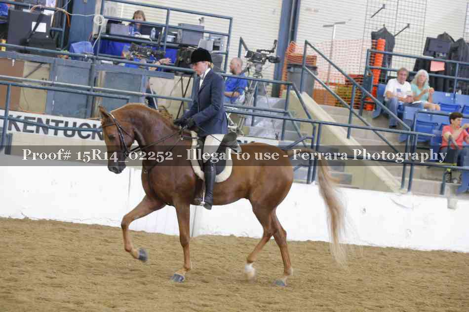 Proof 15R14_02252