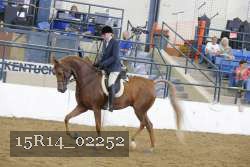 15R14_02252 proof