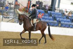 15R14_02263 proof