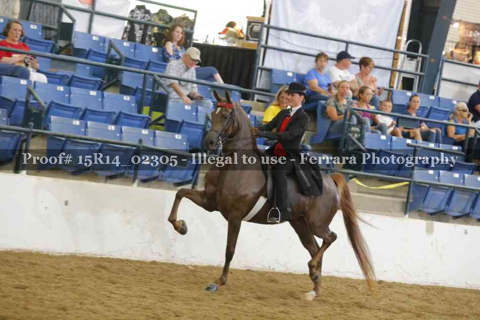 Proof 15R14_02305