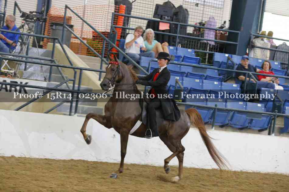Proof 15R14_02306