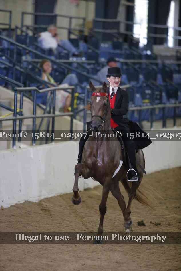 Proof 15R14_02307
