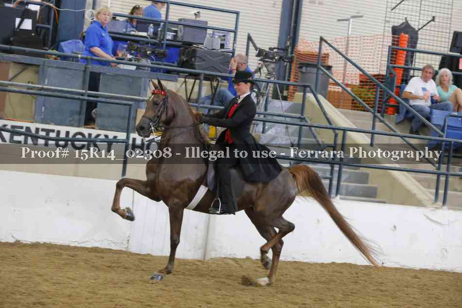 Proof 15R14_02308