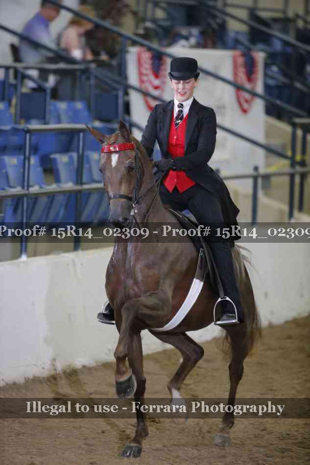 Proof 15R14_02309