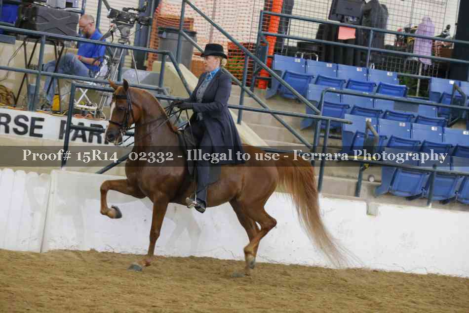 Proof 15R14_02332
