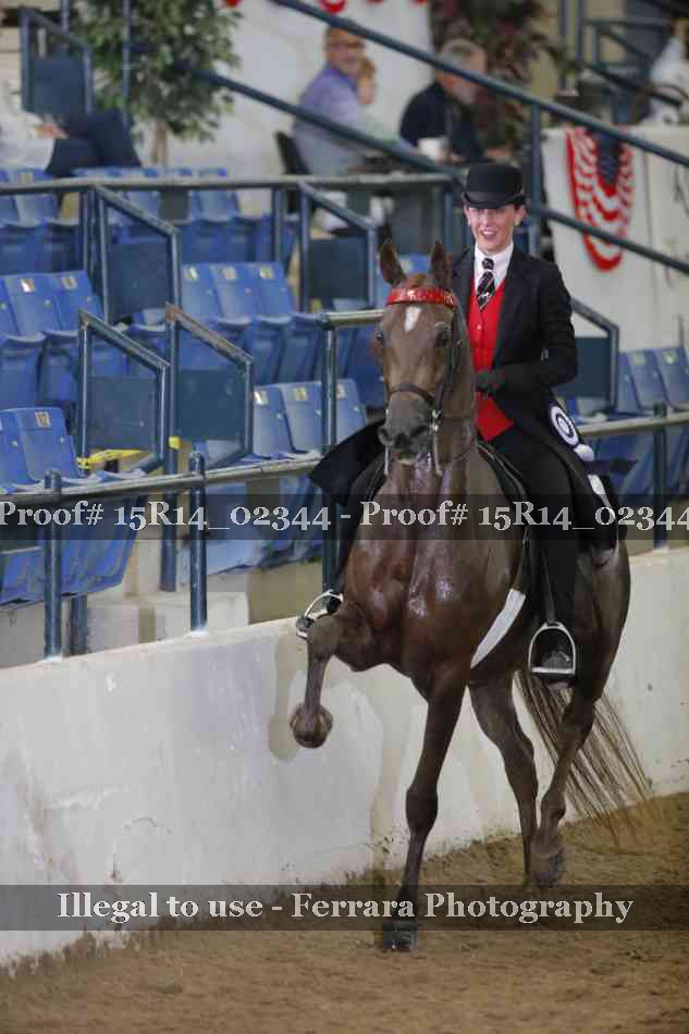 Proof 15R14_02344