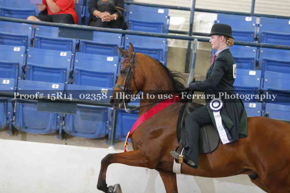 Proof 15R14_02358