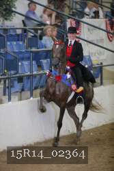 15R14_02364 proof