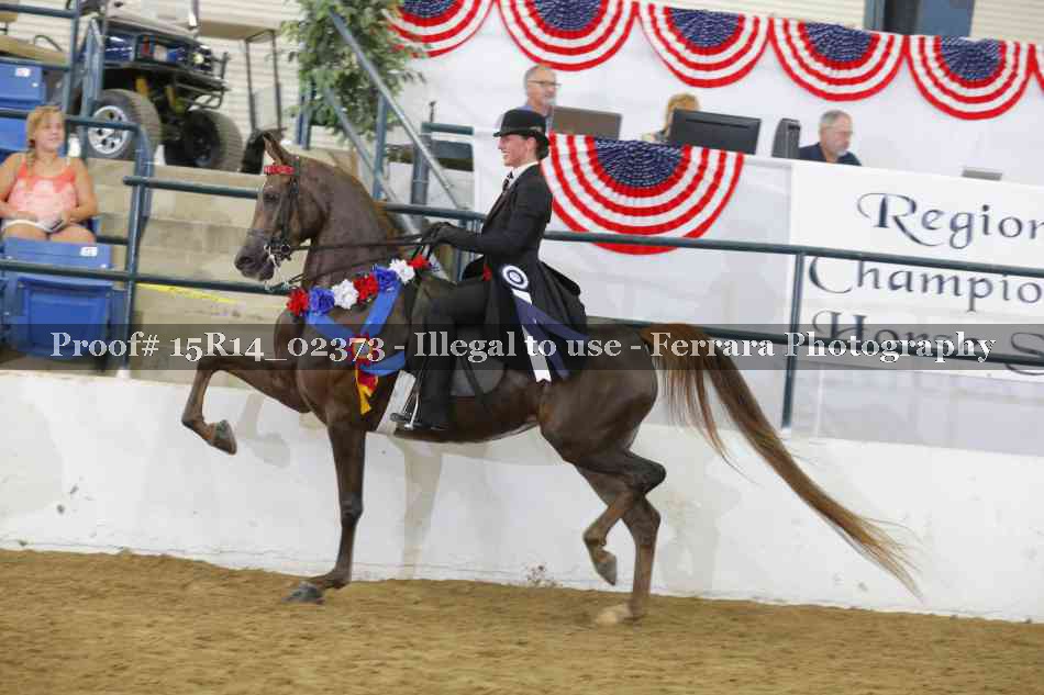 Proof 15R14_02373