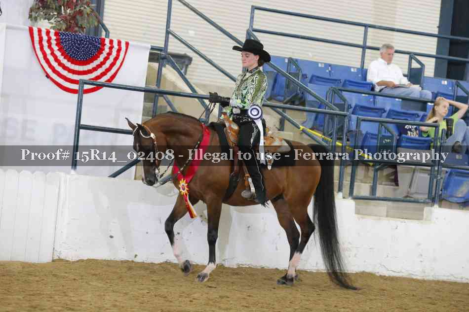Proof 15R14_02408