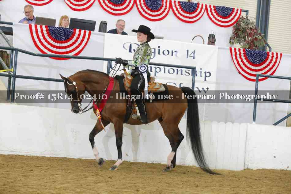 Proof 15R14_02410