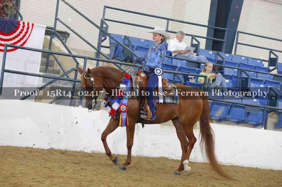 Proof 15R14_02417