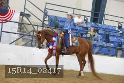 15R14_02417 proof