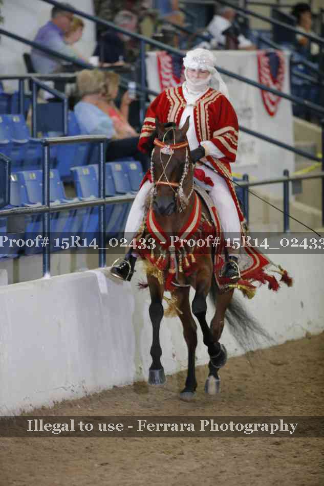 Proof 15R14_02433