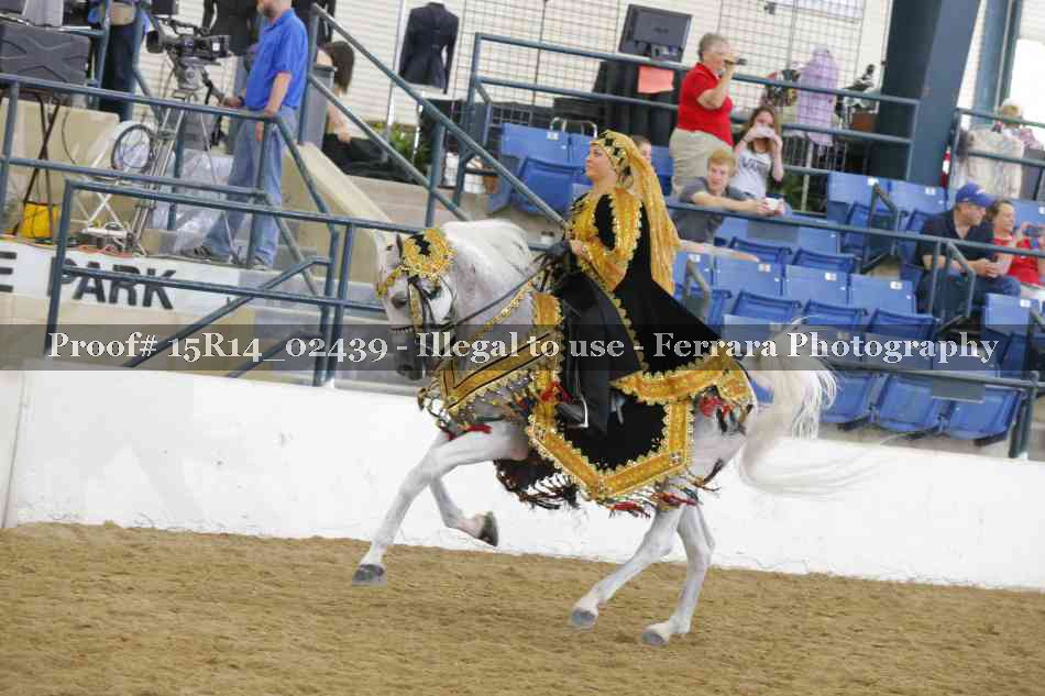 Proof 15R14_02439