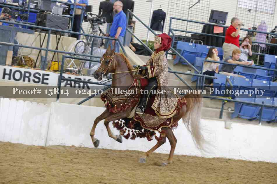 Proof 15R14_02440