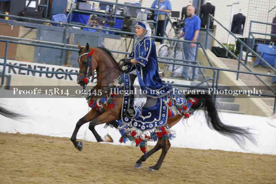 Proof 15R14_02445
