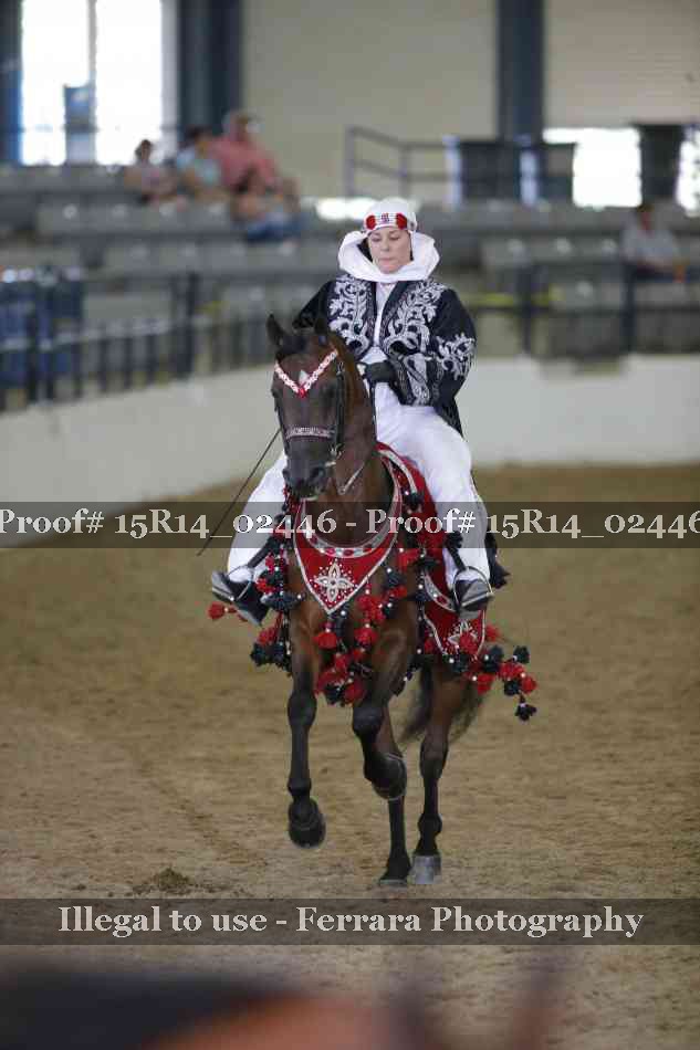 Proof 15R14_02446