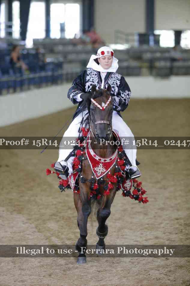 Proof 15R14_02447