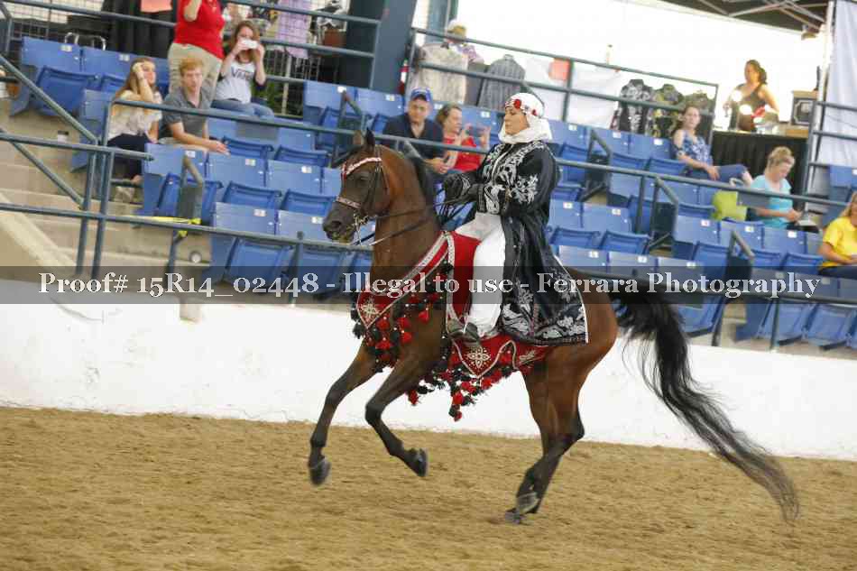 Proof 15R14_02448