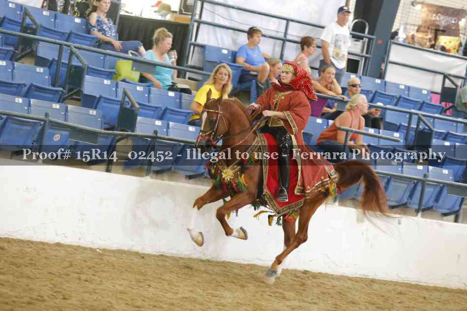 Proof 15R14_02452