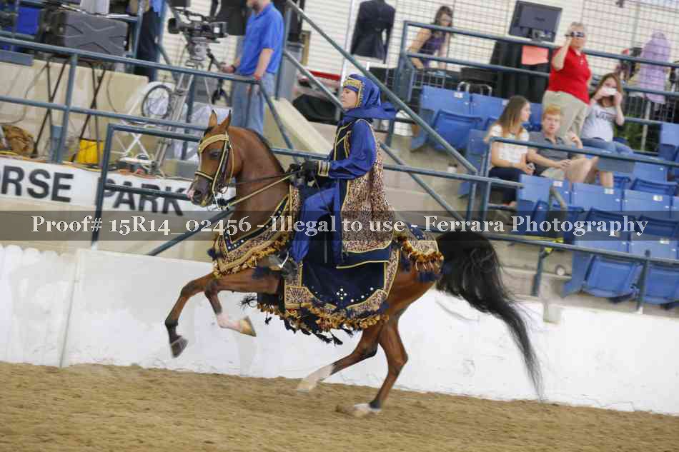 Proof 15R14_02456