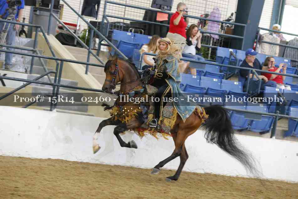 Proof 15R14_02460