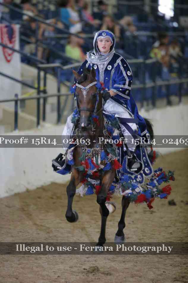 Proof 15R14_02463