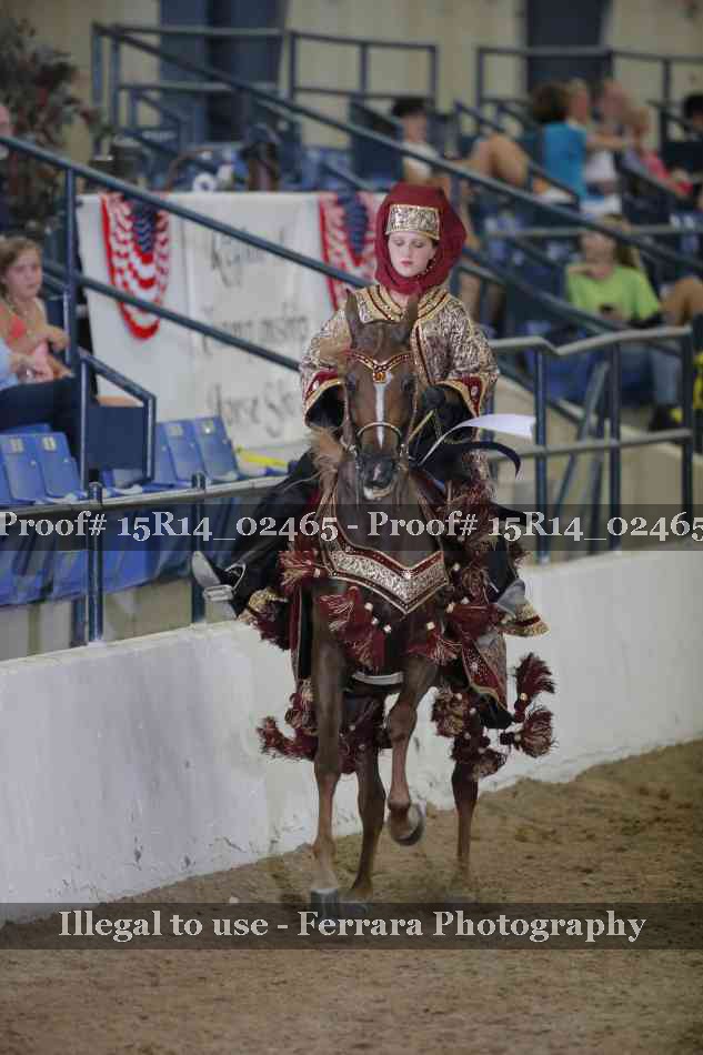 Proof 15R14_02465