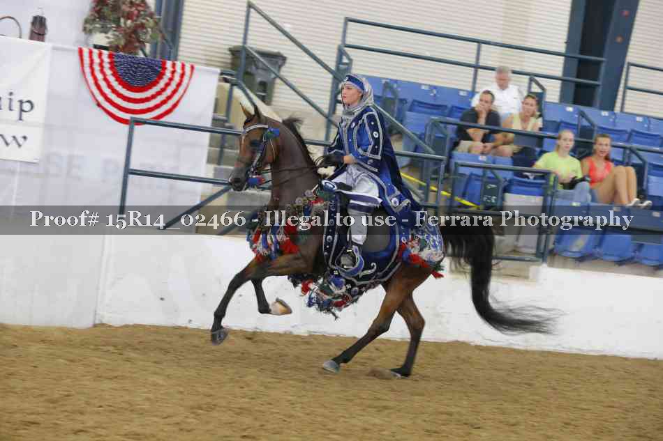 Proof 15R14_02466