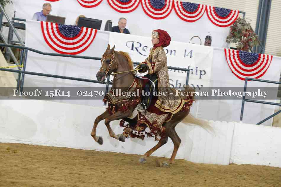 Proof 15R14_02470