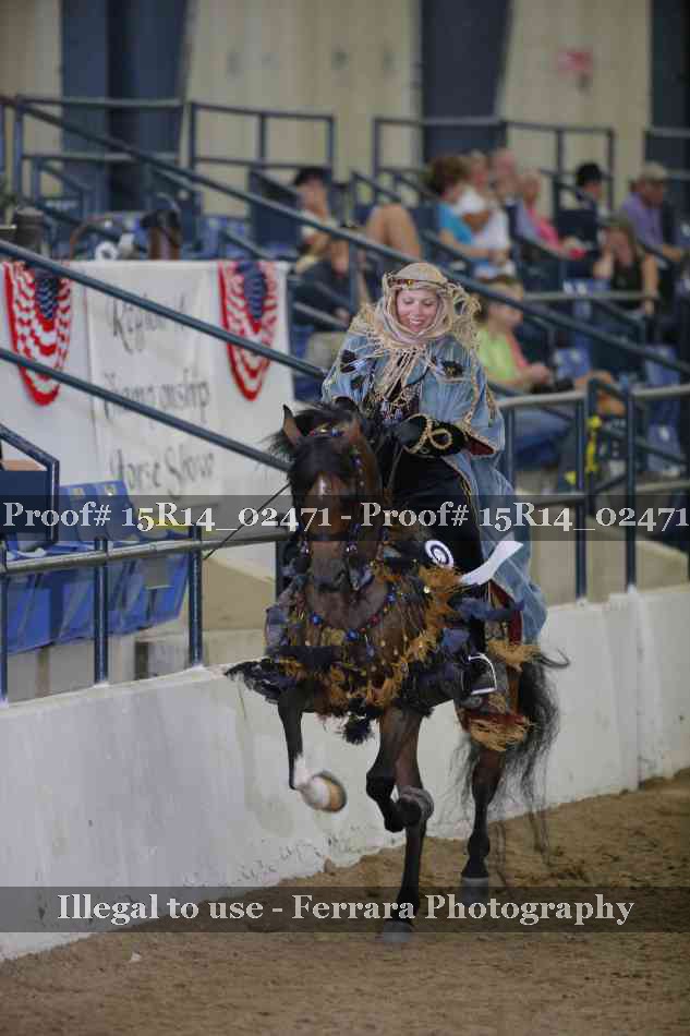 Proof 15R14_02471