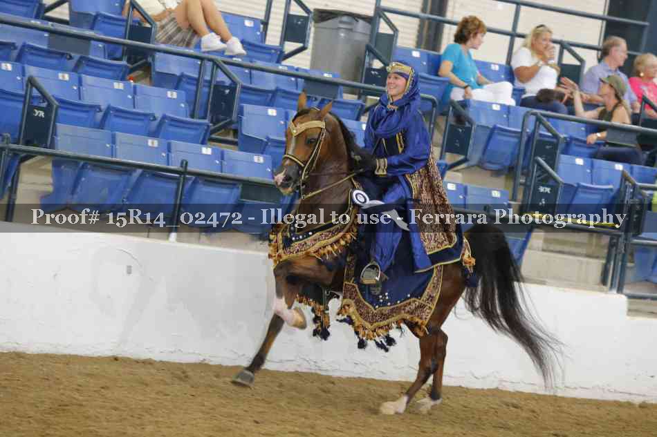 Proof 15R14_02472