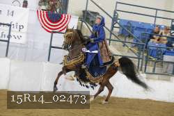 15R14_02473 proof