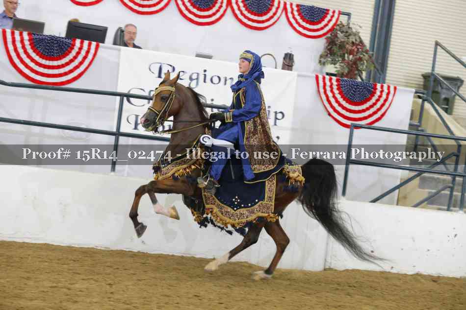 Proof 15R14_02474