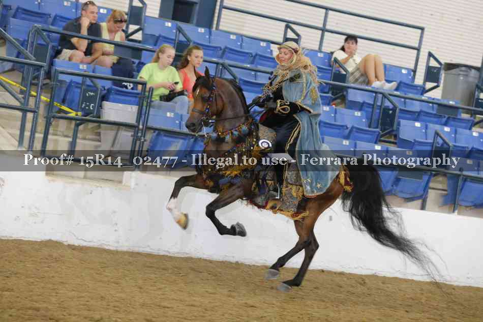 Proof 15R14_02477