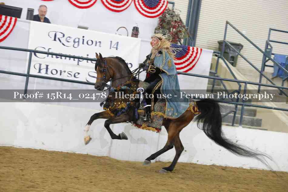 Proof 15R14_02478