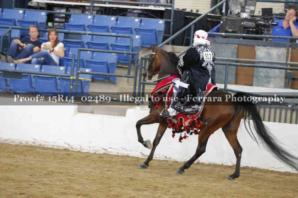 Proof 15R14_02489