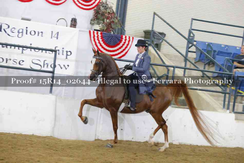 Proof 15R14_02644