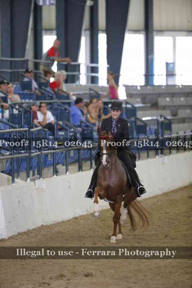 Proof 15R14_02645