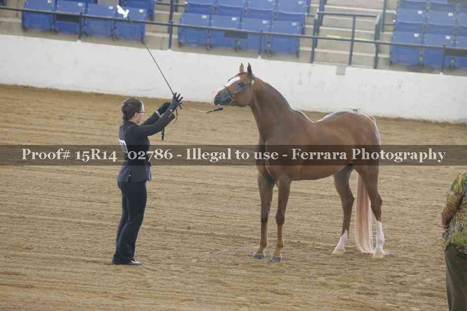 Proof 15R14_02786