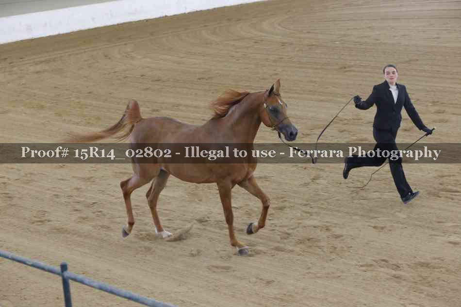 Proof 15R14_02802