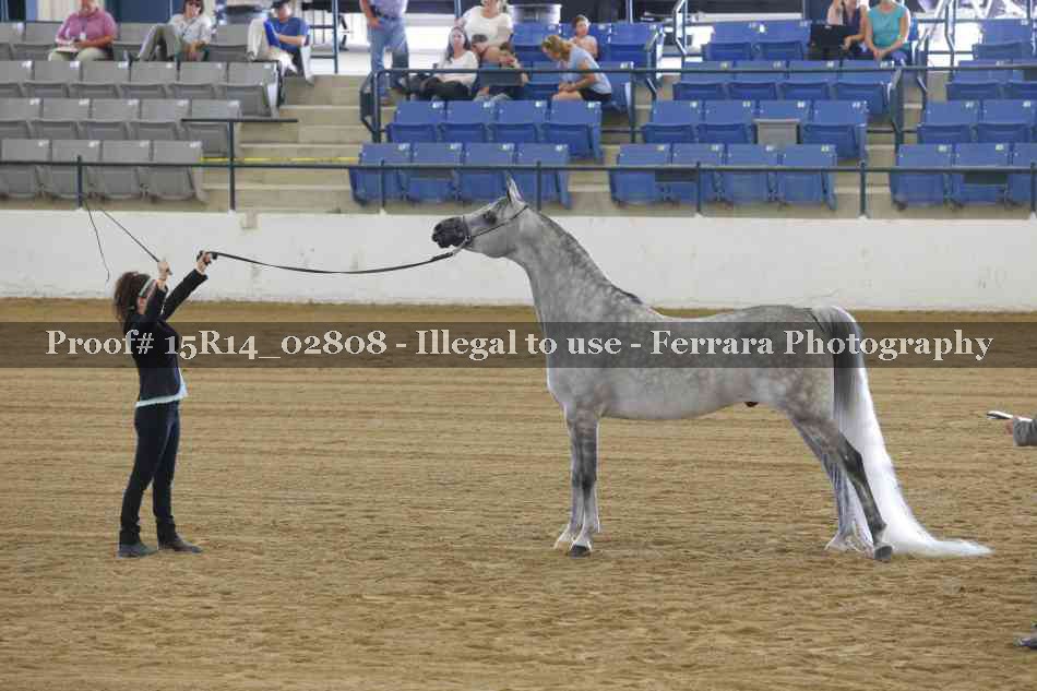 Proof 15R14_02808