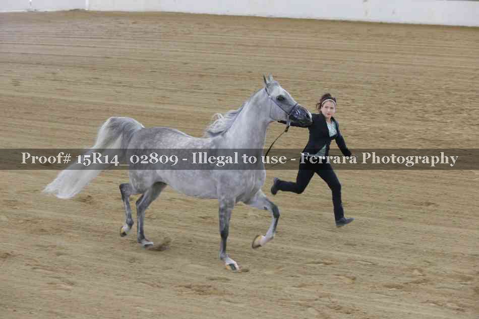 Proof 15R14_02809