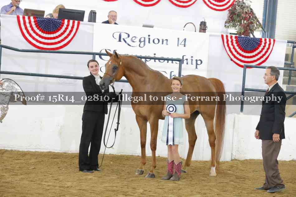 Proof 15R14_02810