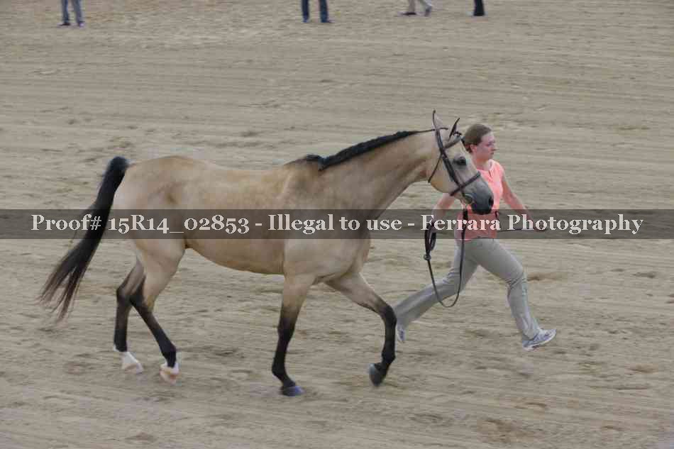 Proof 15R14_02853