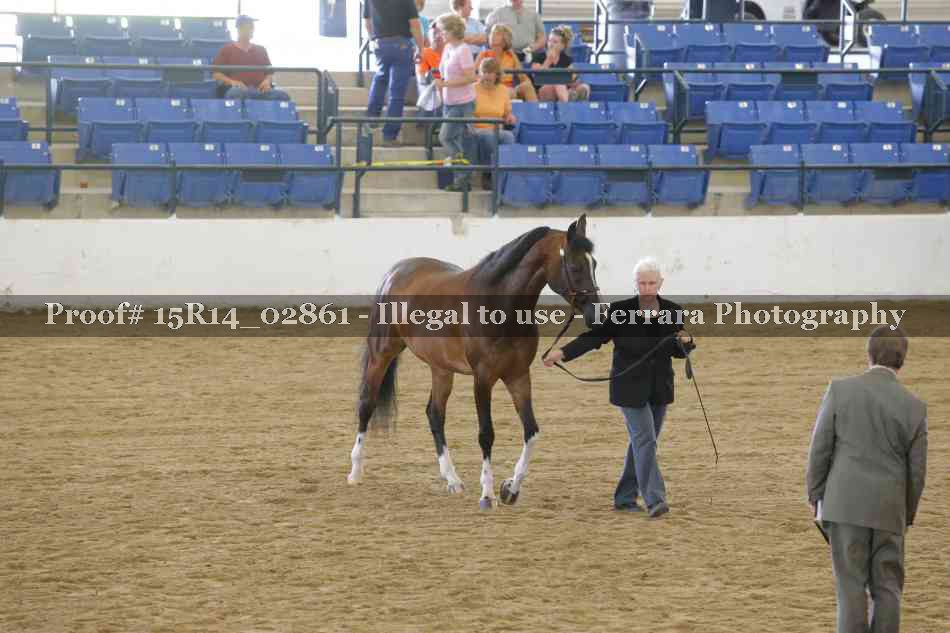 Proof 15R14_02861