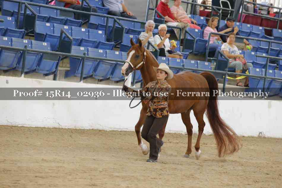Proof 15R14_02936