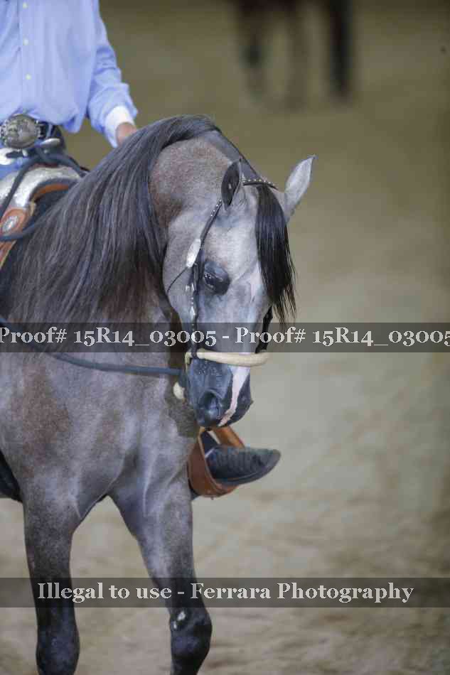 Proof 15R14_03005