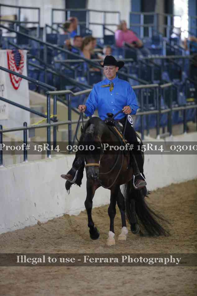 Proof 15R14_03010